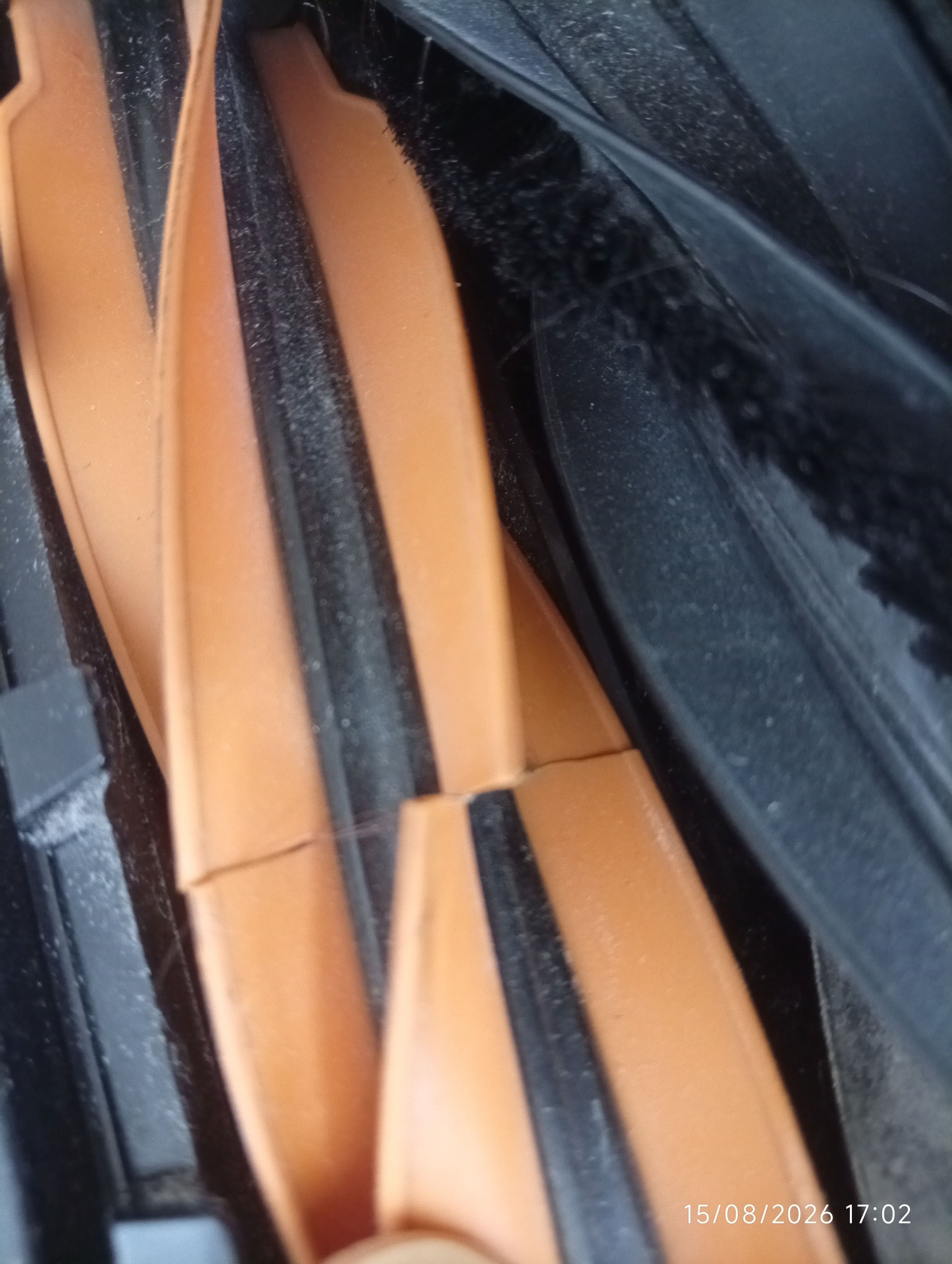 image1703446560129741137.jpg